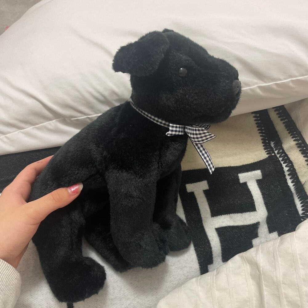 Luke-1977 Black Stuffed-animals